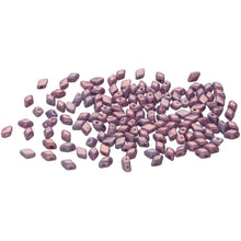 Load image into Gallery viewer, Czech Mini GemDuos 6x4mm Vega on Chalk Qty: 10 grams