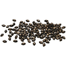 Load image into Gallery viewer, Czech Mini GemDuos 6x4mm Jet Gold Splash Qty: 10 grams