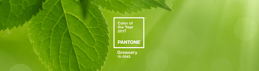 Freshen Up Your Style with Pantone’s Color of the Year 2017