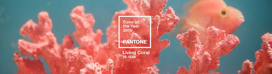 Bring Your Designs to Life with Pantone’s Color of the Year 2019