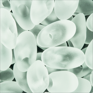 Miyuki Long Magatamas 4x7mm 0131F Crystal Transparent Matte 