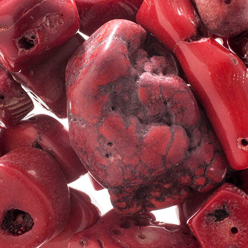 'Earth's Jewels' Red Bamboo Coral Dyed Qty: 100g