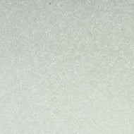 Czech Charlottes 15/0 Crystal Qty:5g
