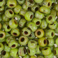 Miyuki Rocailles 8/0 4515 Chartreuse Matte Picasso