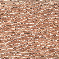 Czech Seedbeads 8/0 Champagne Silver Lined